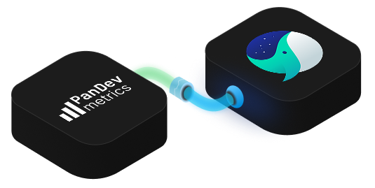 PanDev Metrics for Whale