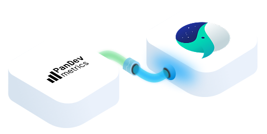 PanDev Metrics for Whale